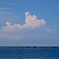 野北海岸
