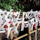 花園神社のおみくじを結ぶ所