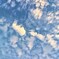 夏の夕方の鱗雲