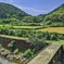 猛暑の里山