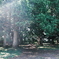 公園で