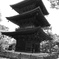 豪徳寺