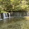 20250730軽井沢町14