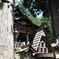 三峯神社　御神木