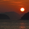 ８月末の疲れた太陽