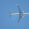 飛行機