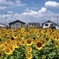 夏休み明けの教室みたいです