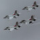 Fairford,UK