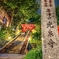 パワースポット ～草津 光泉寺～