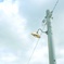 レトロな電灯