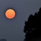昇る太陽