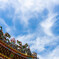 夏空に龍が舞う