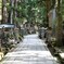 高野山奥の院