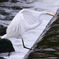 Ardea alba
