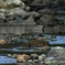 渓流に・・