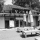 開店してます