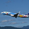 SKY 317