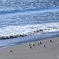 風は南西、海は凪て上げ潮