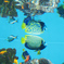 葛西水族館