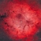 IC1396_2025.08.01