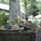 Micro Nikkor Auto 55mm F3.5(Ai改)開放