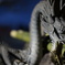 オリンパスPEN用40ＭＭ F1.4  開放