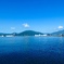 入り江の港