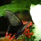 晩夏の生物園～⑭