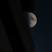 月齢9.1