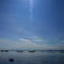夏の青