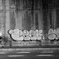 artist