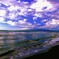 夏の海