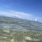 グアムの海