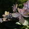 P1080557　終章