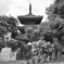 1000521429御滝不動尊