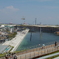 トンボ