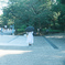 東京スナップ