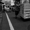 群馬キャベツ