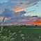本日の夕方ウォーキング