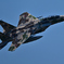 2025AGGRESSOR_32-8084_18