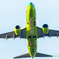 頭上のSolaseed Air..