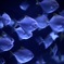 水界の置き物