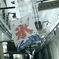 まだまだ暑い