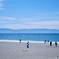 駿河湾