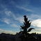 ケイトウの花；夕景に透かしてみました。