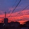 今日の夕焼け
