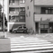 横断歩道の向こうの家だった。