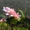 6D9BA0BA-EF53-4693-9953-0CC23B0B1F15