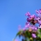 気温35℃の空