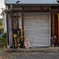 居酒屋さんの名言